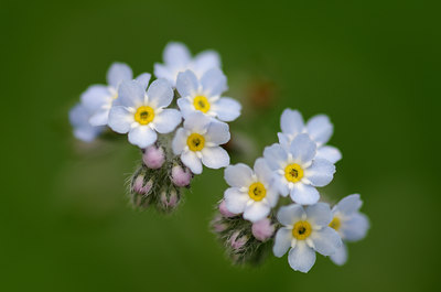 BUITEN BEELD Foto: 128813