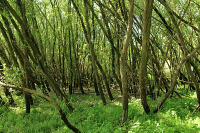 BUITEN BEELD Foto: 128816