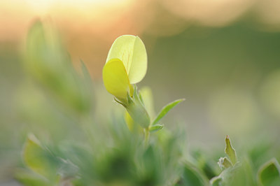 BUITEN BEELD Foto: 128833