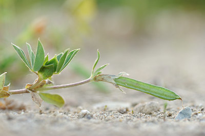 BUITEN BEELD Foto: 128835