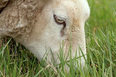 BUITEN BEELD Foto: 128858