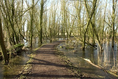 BUITEN BEELD Foto: 128868