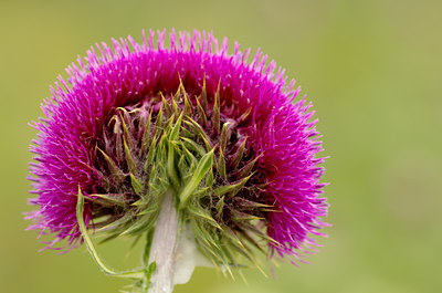 BUITEN BEELD Foto: 128882