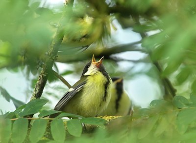BUITEN BEELD Foto: 128923