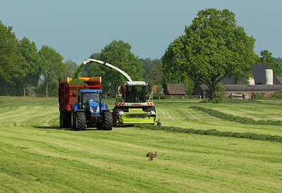 BUITEN BEELD Foto: 128946