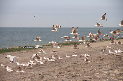 BUITEN BEELD Foto: 128963