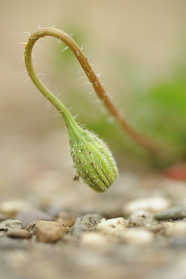 BUITEN BEELD Foto: 128968
