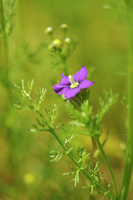 BUITEN BEELD Foto: 128973