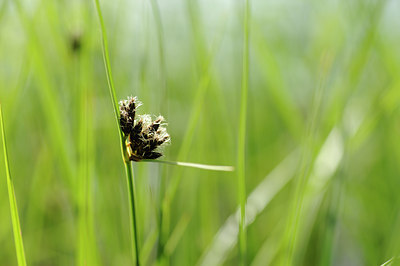 BUITEN BEELD Foto: 128976