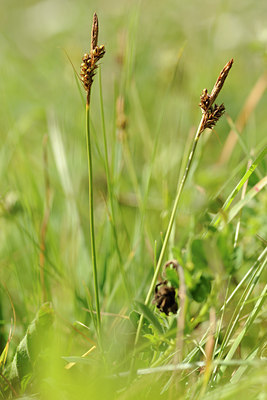BUITEN BEELD Foto: 128998