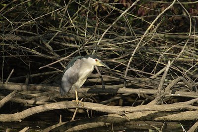 BUITEN BEELD Foto: 12077