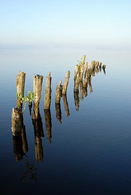BUITEN BEELD Foto: 12115