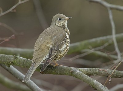 BUITEN BEELD Foto: 12200