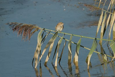 BUITEN BEELD Foto: 12203