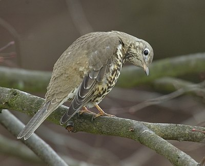 BUITEN BEELD Foto: 12204