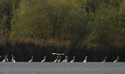 BUITEN BEELD Foto: 12247