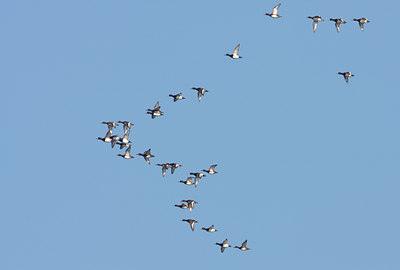 BUITEN BEELD Foto: 12256