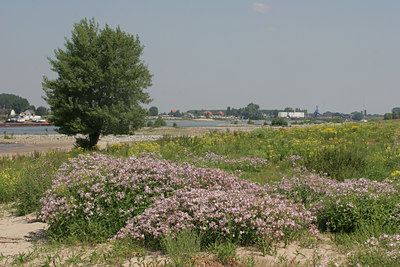 BUITEN BEELD Foto: 12280