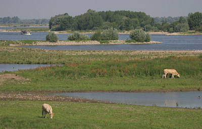 BUITEN BEELD Foto: 12281