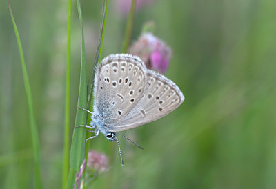 BUITEN BEELD Foto: 12296