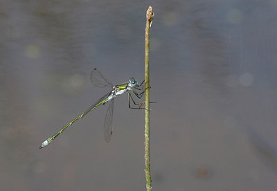 BUITEN BEELD Foto: 12309