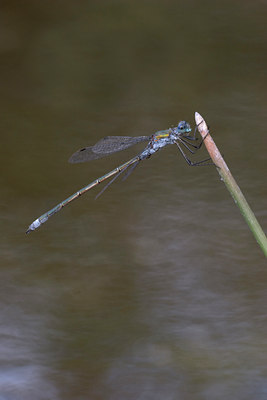 BUITEN BEELD Foto: 12311