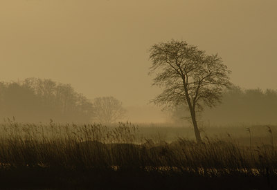 BUITEN BEELD Foto: 12331