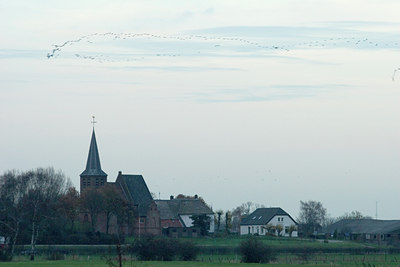 BUITEN BEELD Foto: 12357