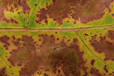 BUITEN BEELD Foto: 12380