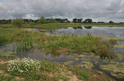 BUITEN BEELD Foto: 12385