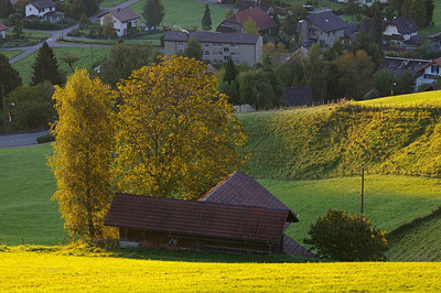 BUITEN BEELD Foto: 12387