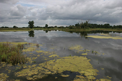 BUITEN BEELD Foto: 12403