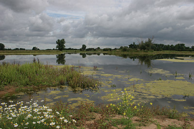 BUITEN BEELD Foto: 12409