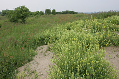 BUITEN BEELD Foto: 12558
