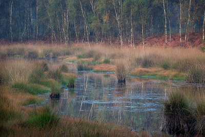 BUITEN BEELD Foto: 12575