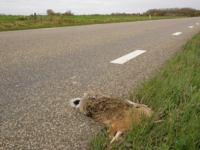 BUITEN BEELD Foto: 12577