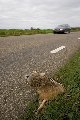 BUITEN BEELD Foto: 12579