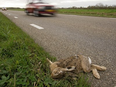 BUITEN BEELD Foto: 12580