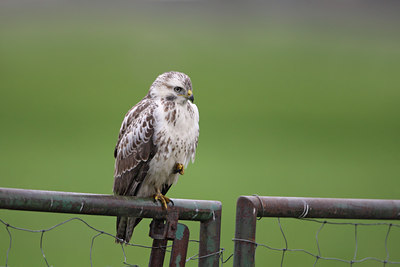 BUITEN BEELD Foto: 12590