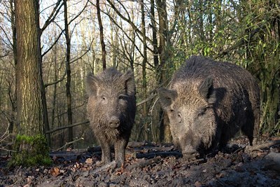 BUITEN BEELD Foto: 12656