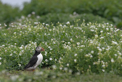 BUITEN BEELD Foto: 12675