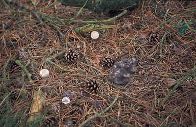BUITEN BEELD Foto: 12690