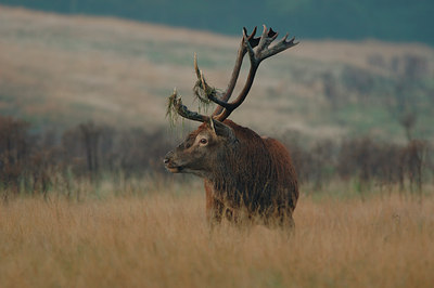 BUITEN BEELD Foto: 12709