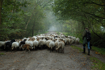 BUITEN BEELD Foto: 12714