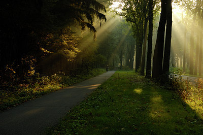 BUITEN BEELD Foto: 12716