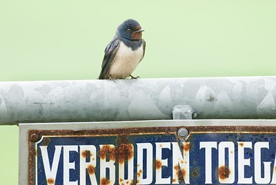 BUITEN BEELD Foto: 12764