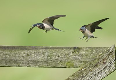 BUITEN BEELD Foto: 12770