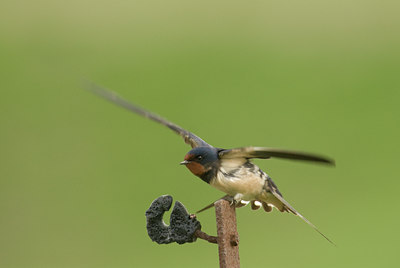 BUITEN BEELD Foto: 12776