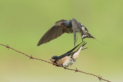 BUITEN BEELD Foto: 12795