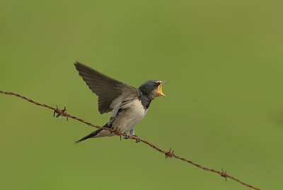 BUITEN BEELD Foto: 12805
